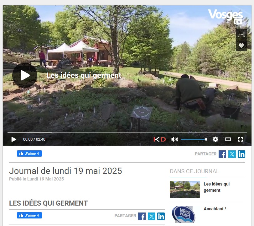 Vosges TV