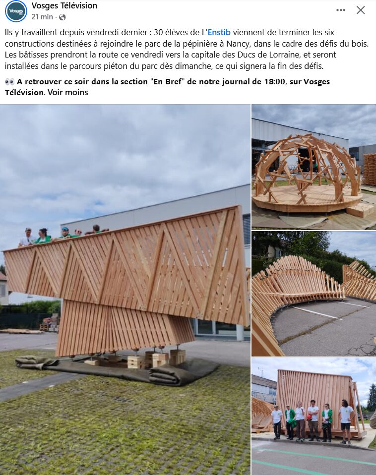 Article Vosges TV