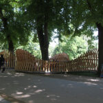 tilleul2